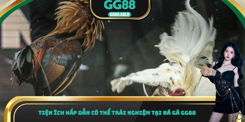 Tiện ích hấp dẫn có thể trải nghiệm tại đá gà GG88